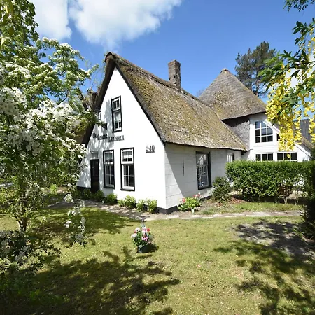 Vakantiehuis Luxuriously Restored With Trendy Interior Close To Sea And Forest *